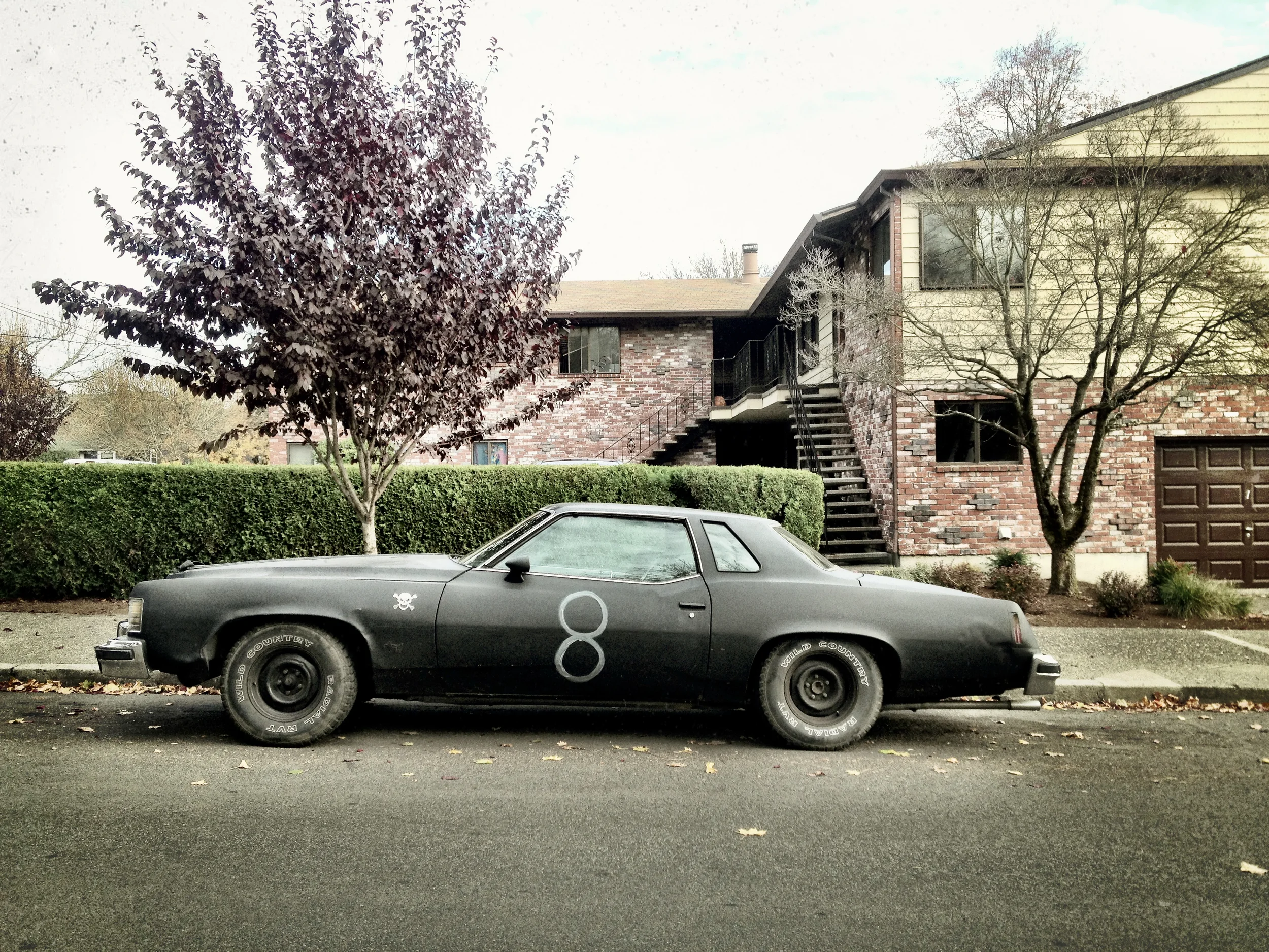 010_CC_LuckyNo.8.JPG