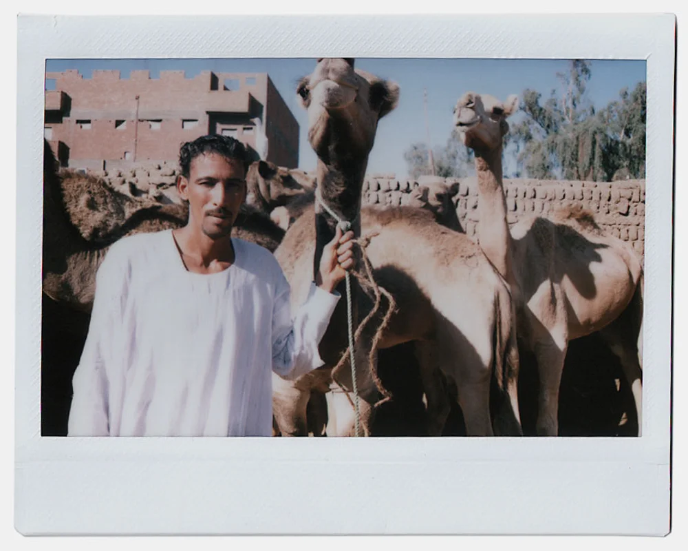 scan_31.jpg