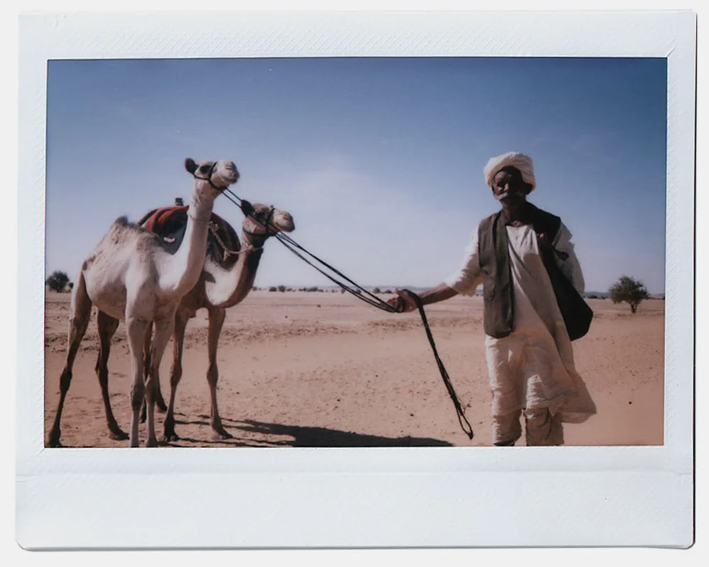 scan_33.jpg