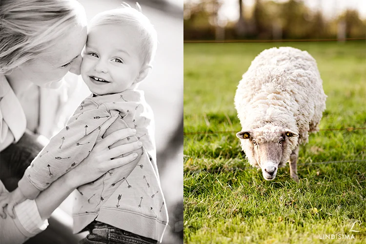 familjefotograf-danmark-3