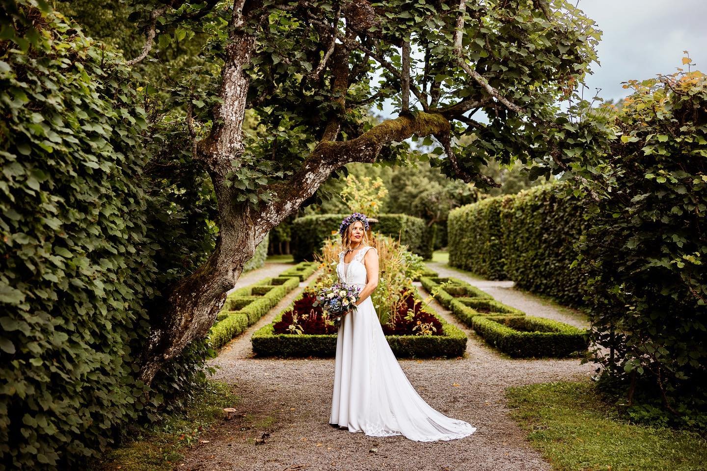 An absolutely stunning bride from an August wedding 💛. Also, a great location, the garden at Ulriksdal&rsquo;s castle! 
@ciccipolbratt #ulriksdalsslottstr&auml;dg&aring;rd #ulriksdalskapell #br&ouml;llopsfotograf #weddingphotography