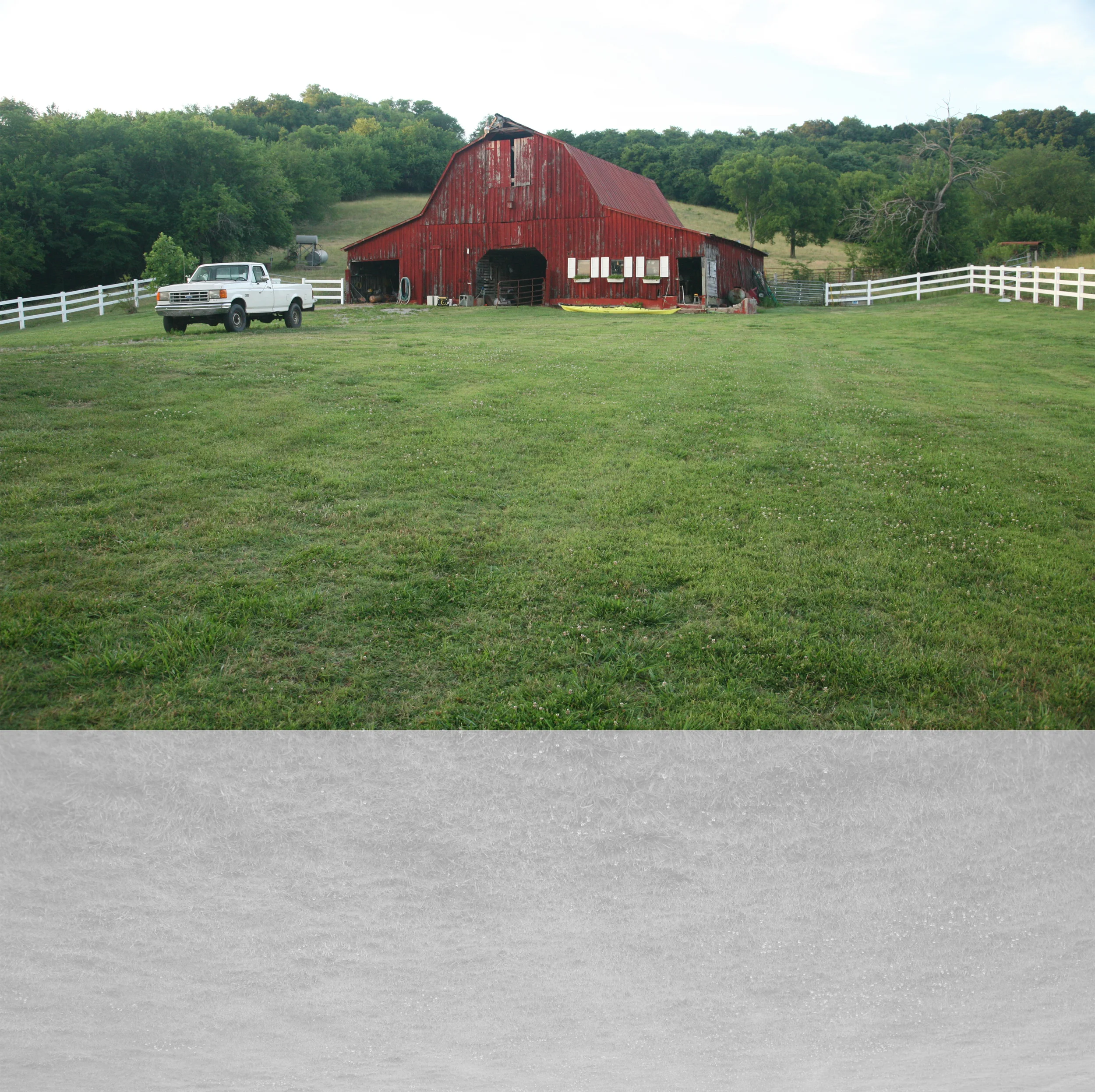 farm7.jpg