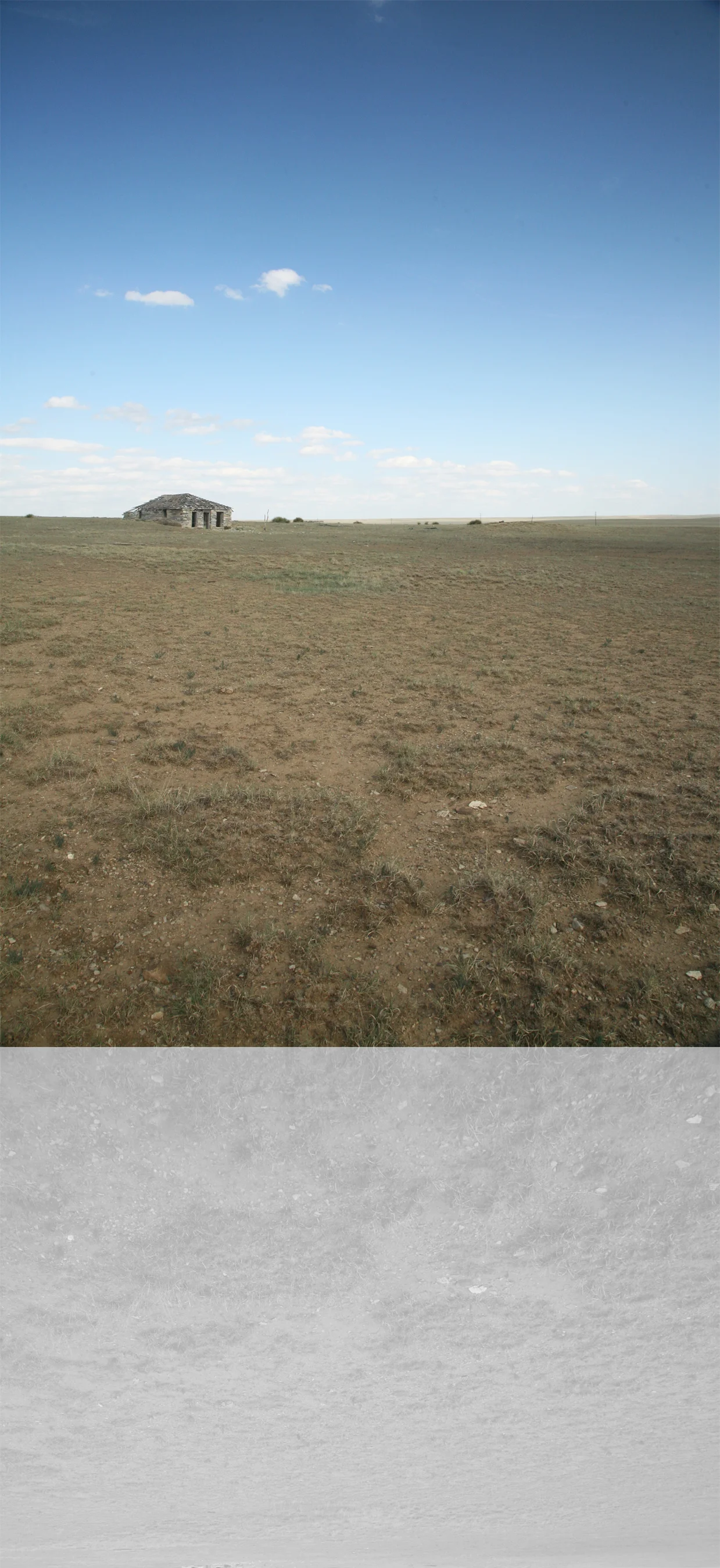 farm9.jpg