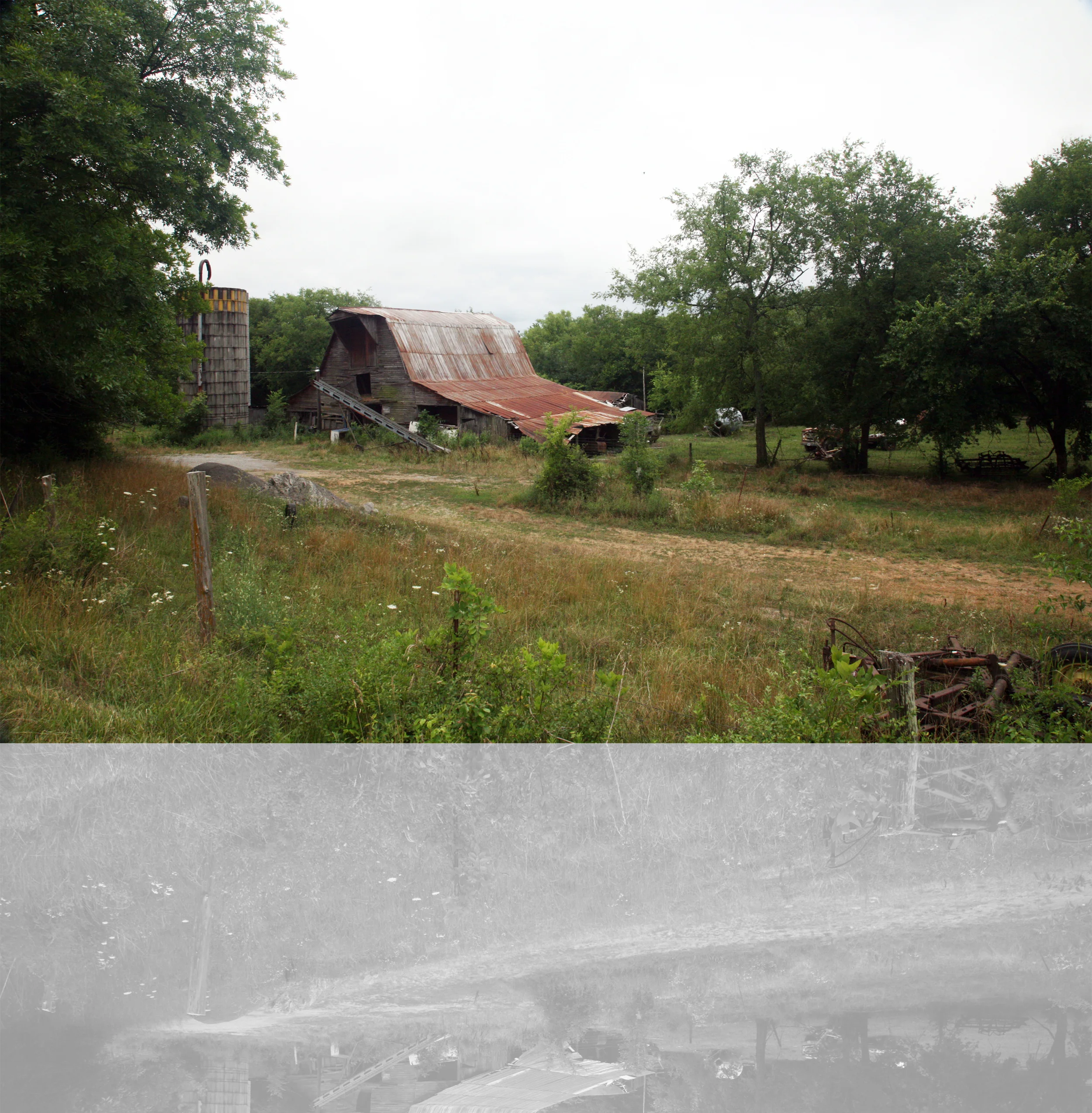 farm10.jpg