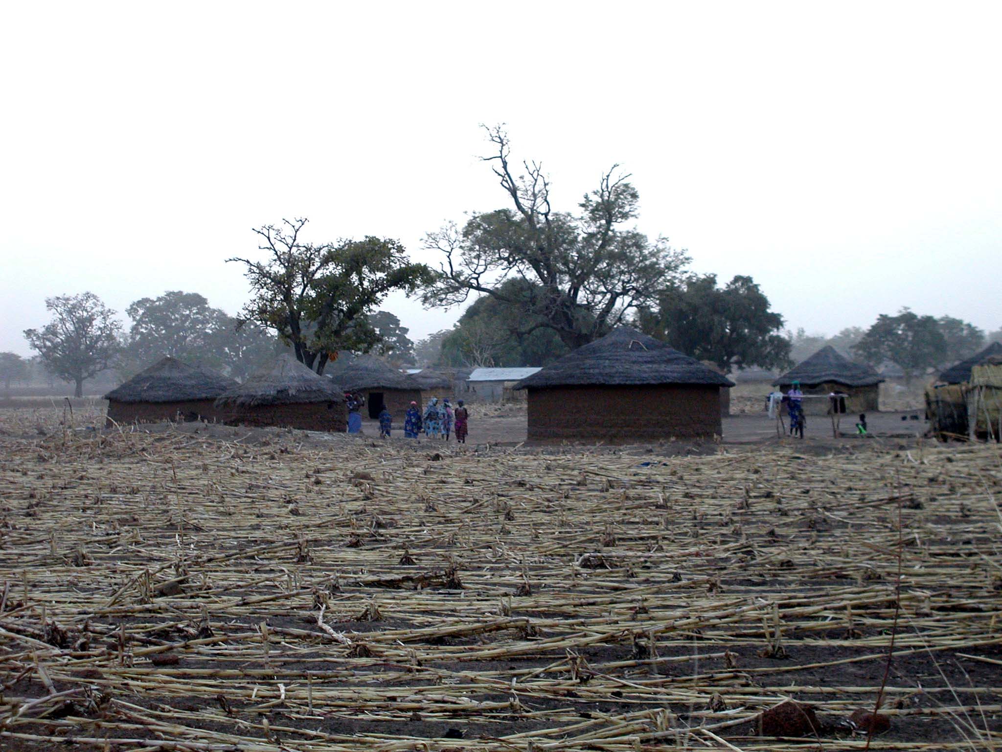 African Village 