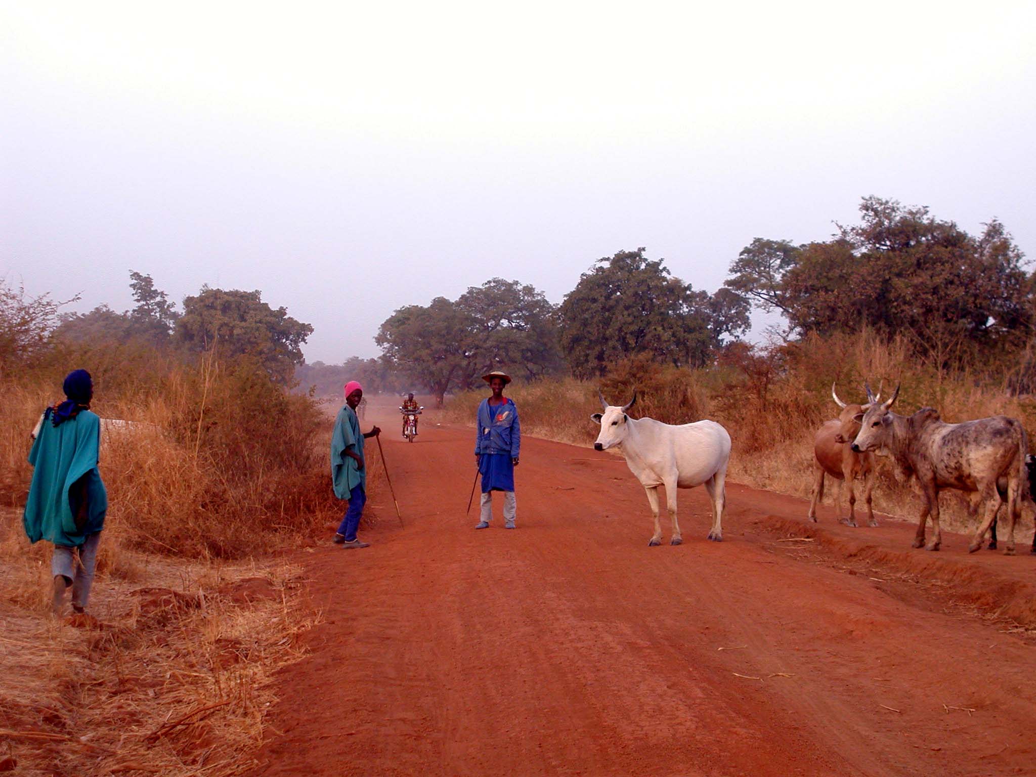 Shepherds and Flock