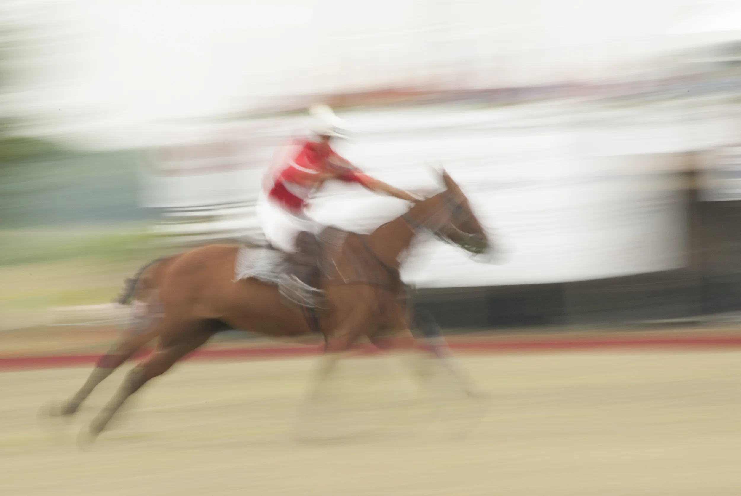 Polo in Action