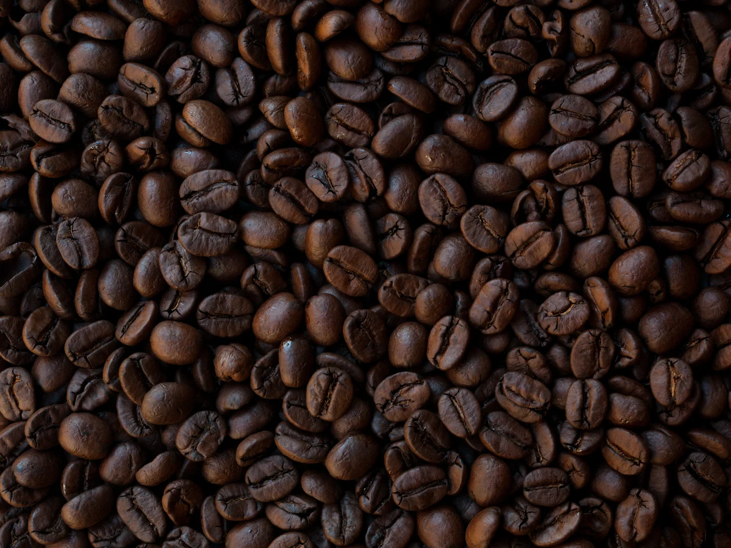 coffee beans_miachel breton.jpg