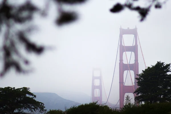 Miachel Breton_Golden Gate Bridge_IMG_2629.jpg