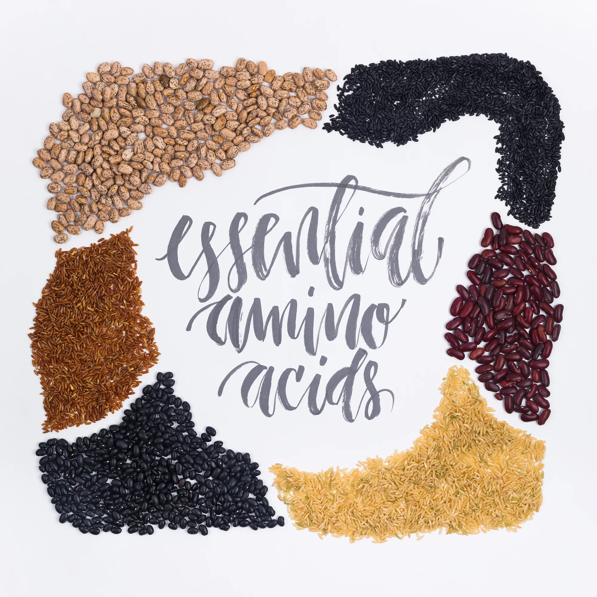 Essential Amino Acids
