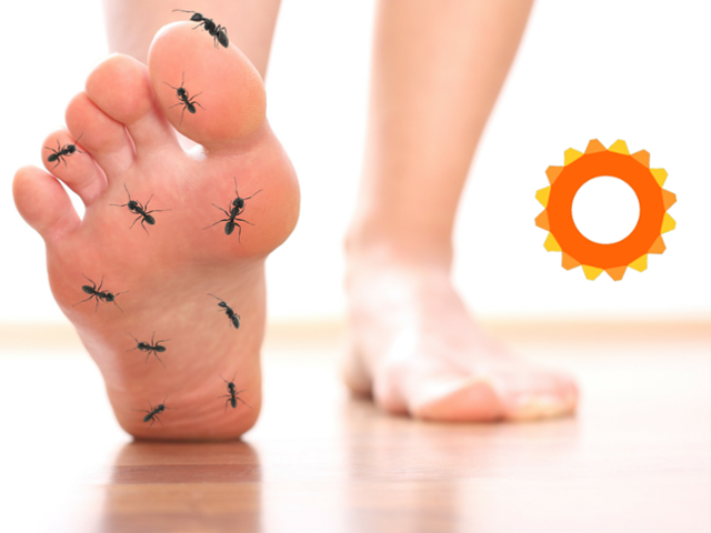 Finding Relief With Foot Orthotics