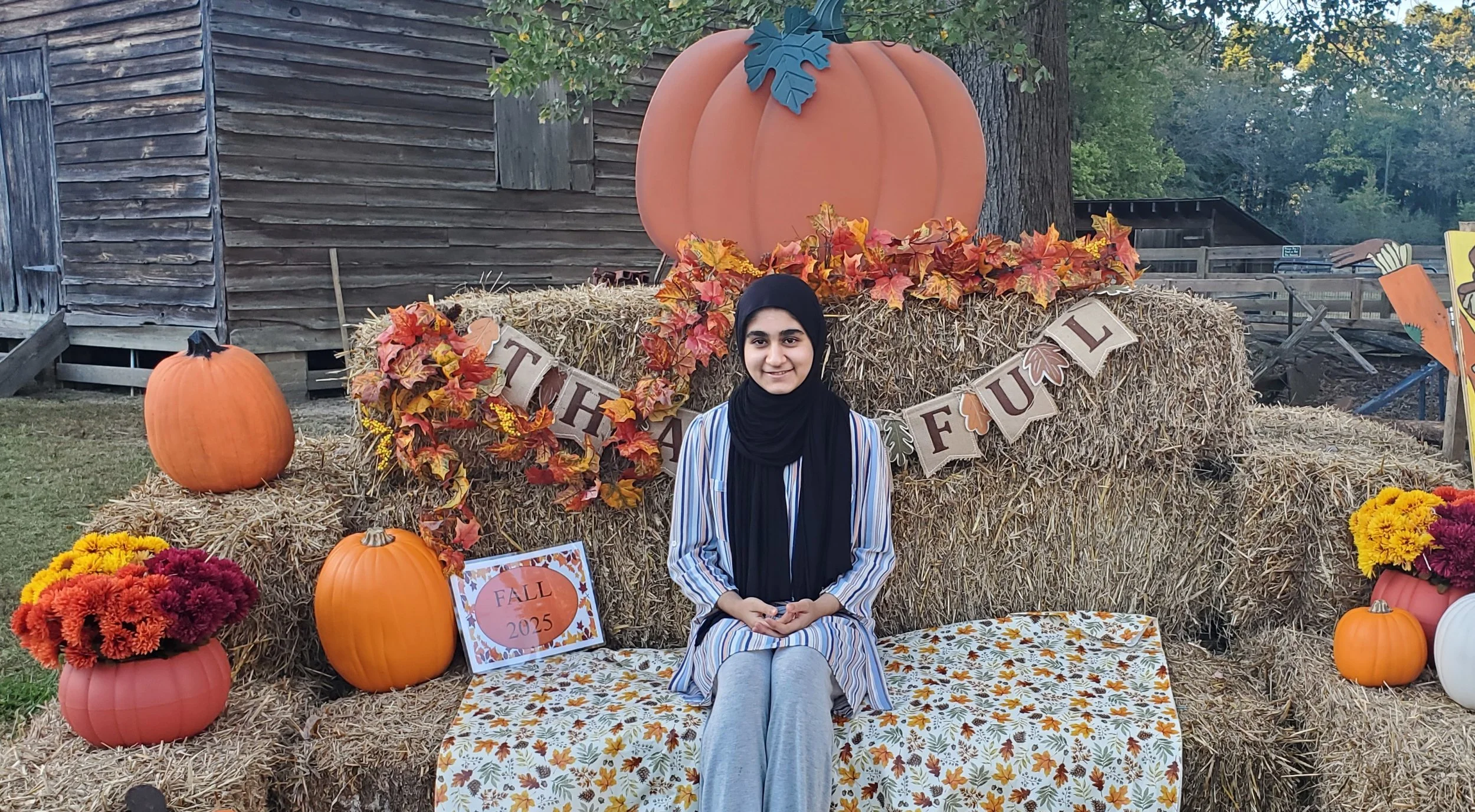 20251008_175421 - Marwa Zahin.jpg