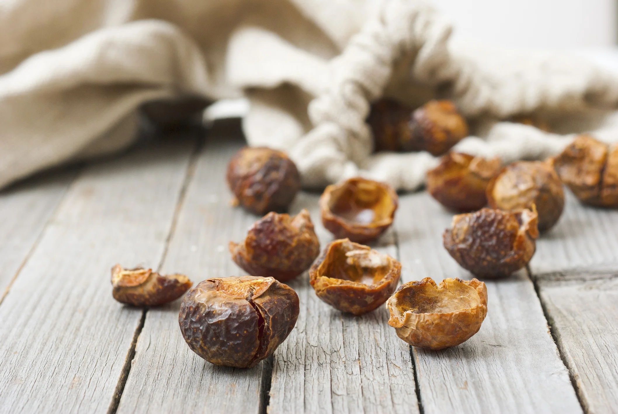 What is a Soap Nut?