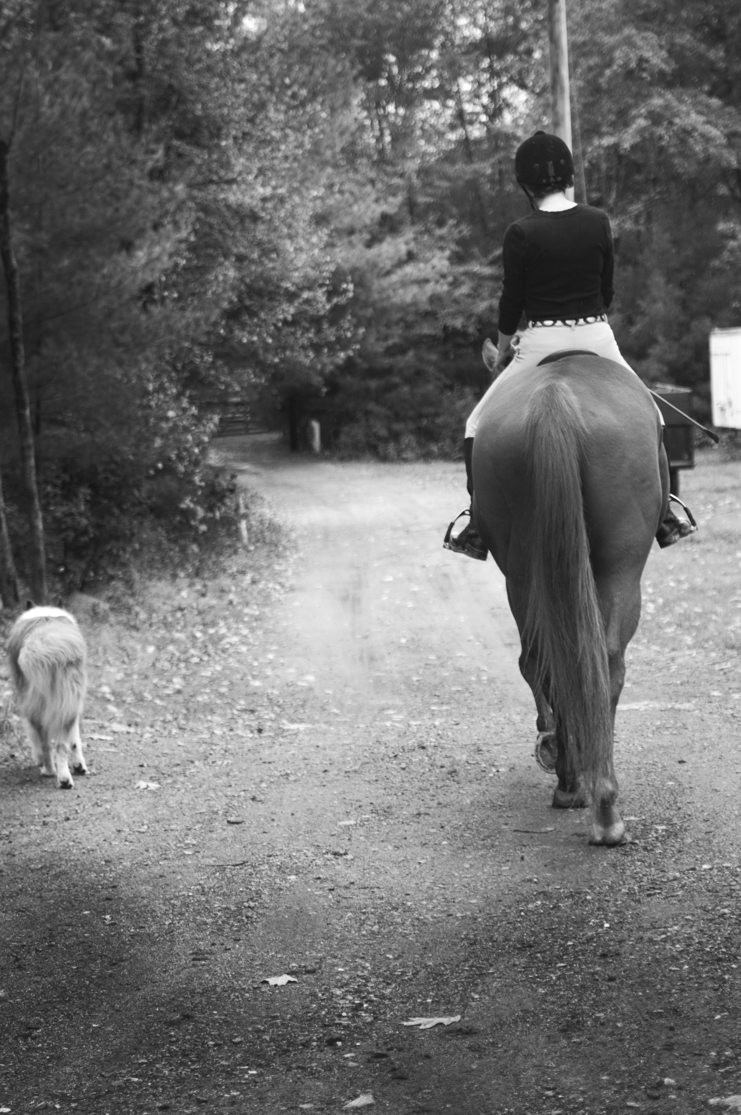 001_0118.JPG