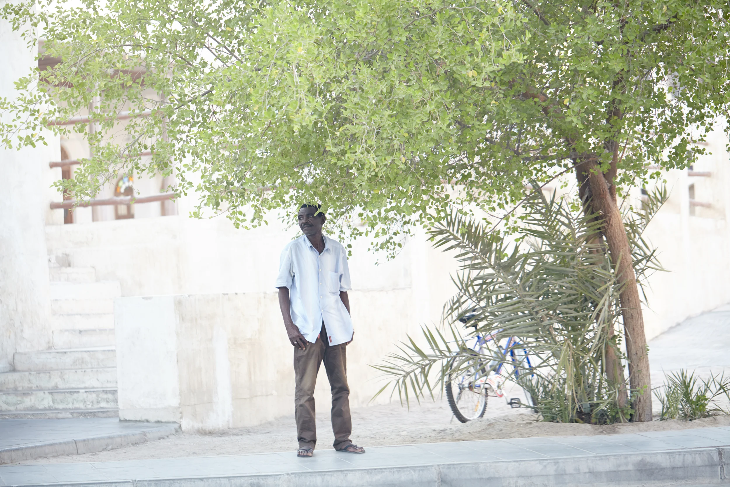 TREE SHADE, DOHA QATAR