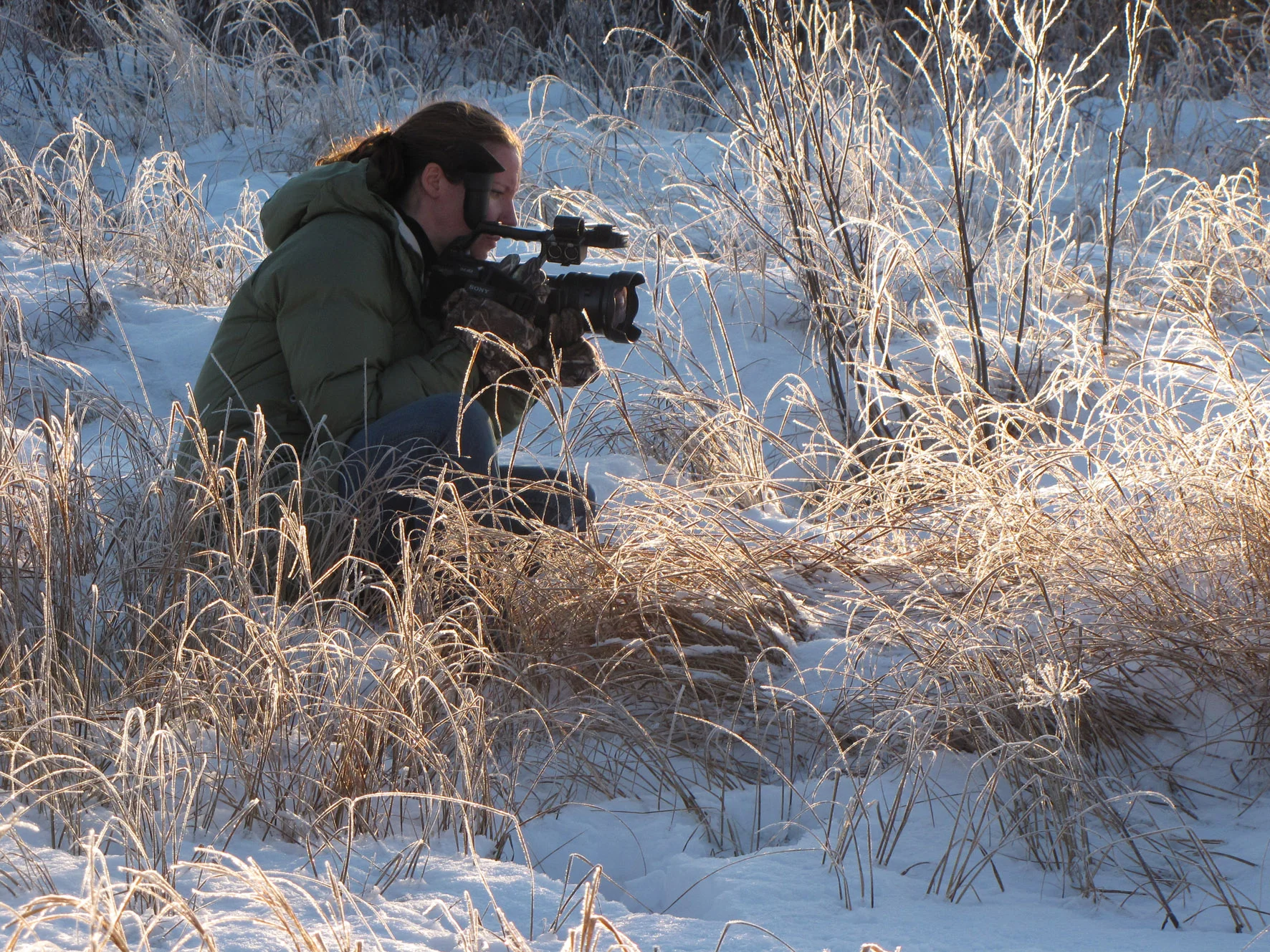 IMG_3323-profile4 Ft.Nelson.jpg