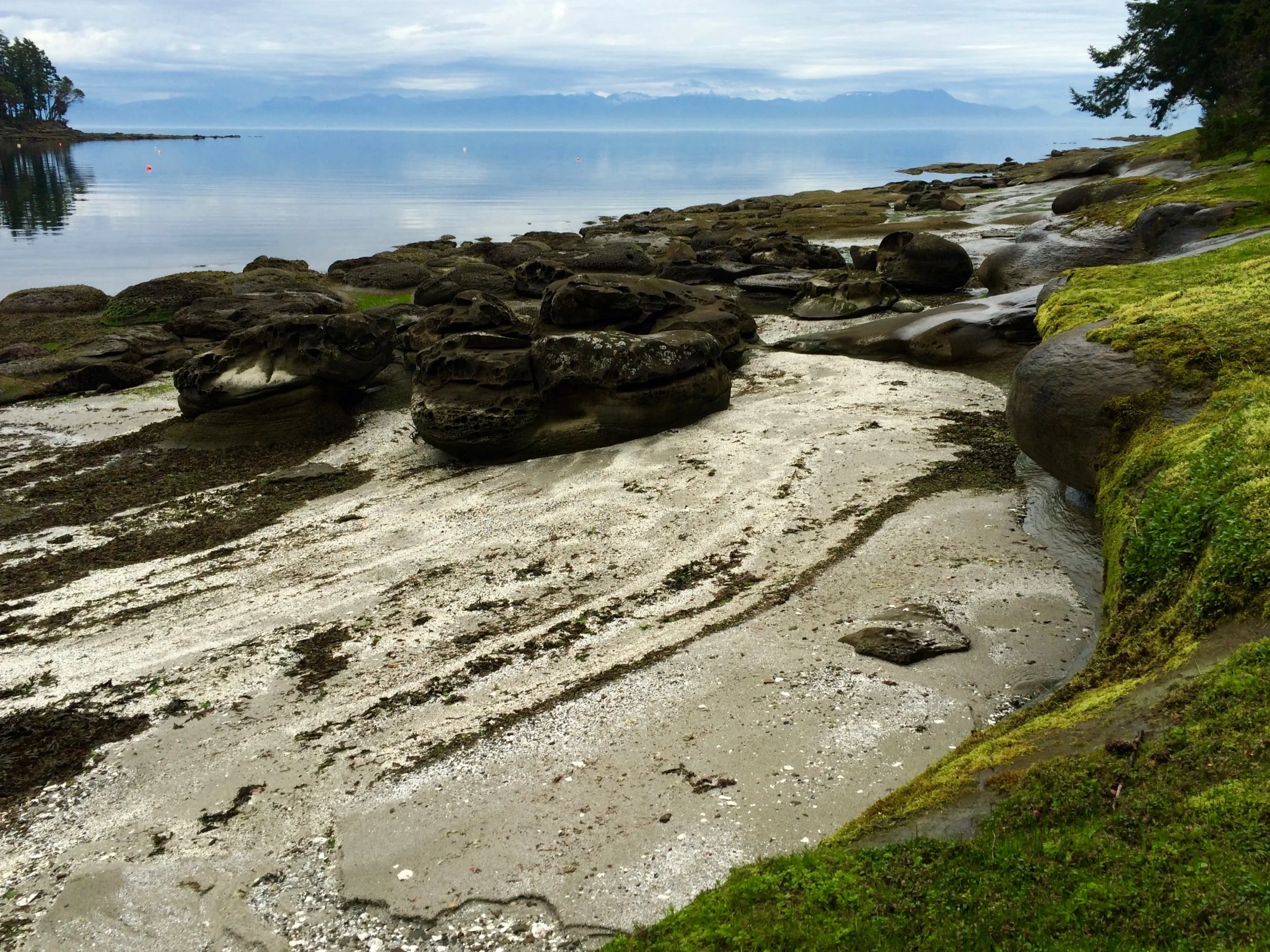 The beach in front of the cabin I have lived in for 4 years, and which I completely missed "seeing" yesterday as I walked the dog right by it on my way to doing MORE IMPORTANT THINGS. 