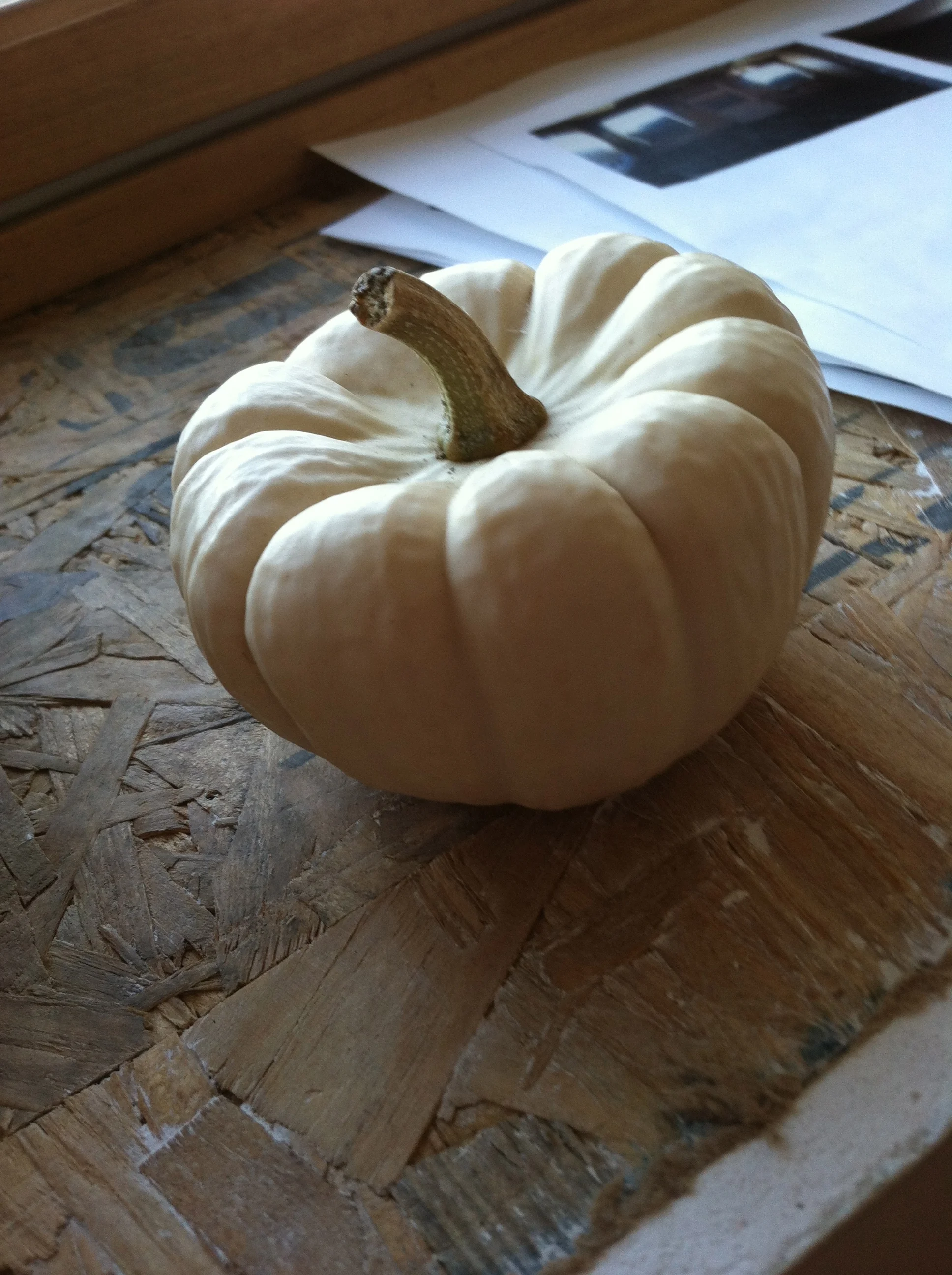 The Lone Pumpkin