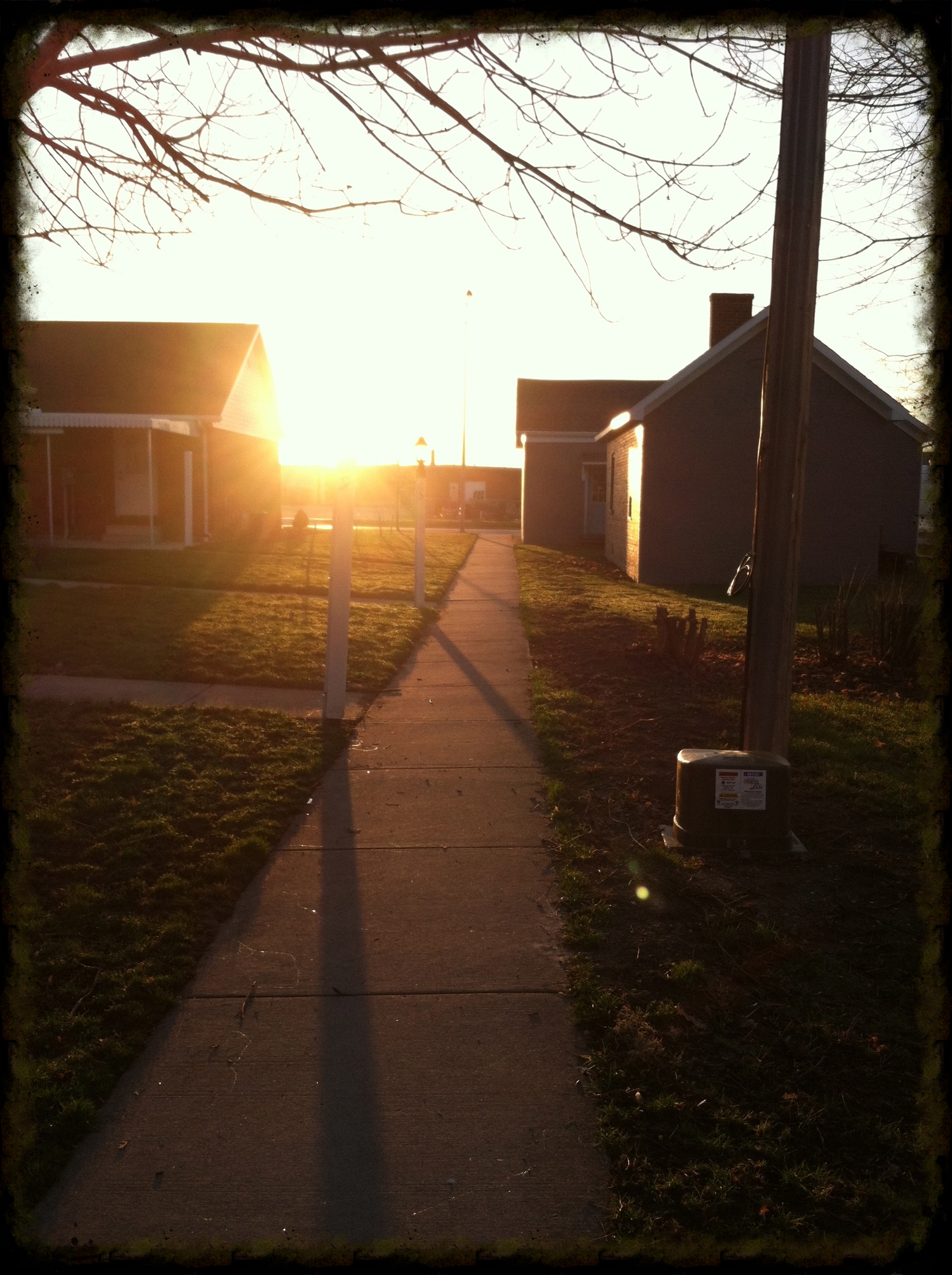A Pretty Morning