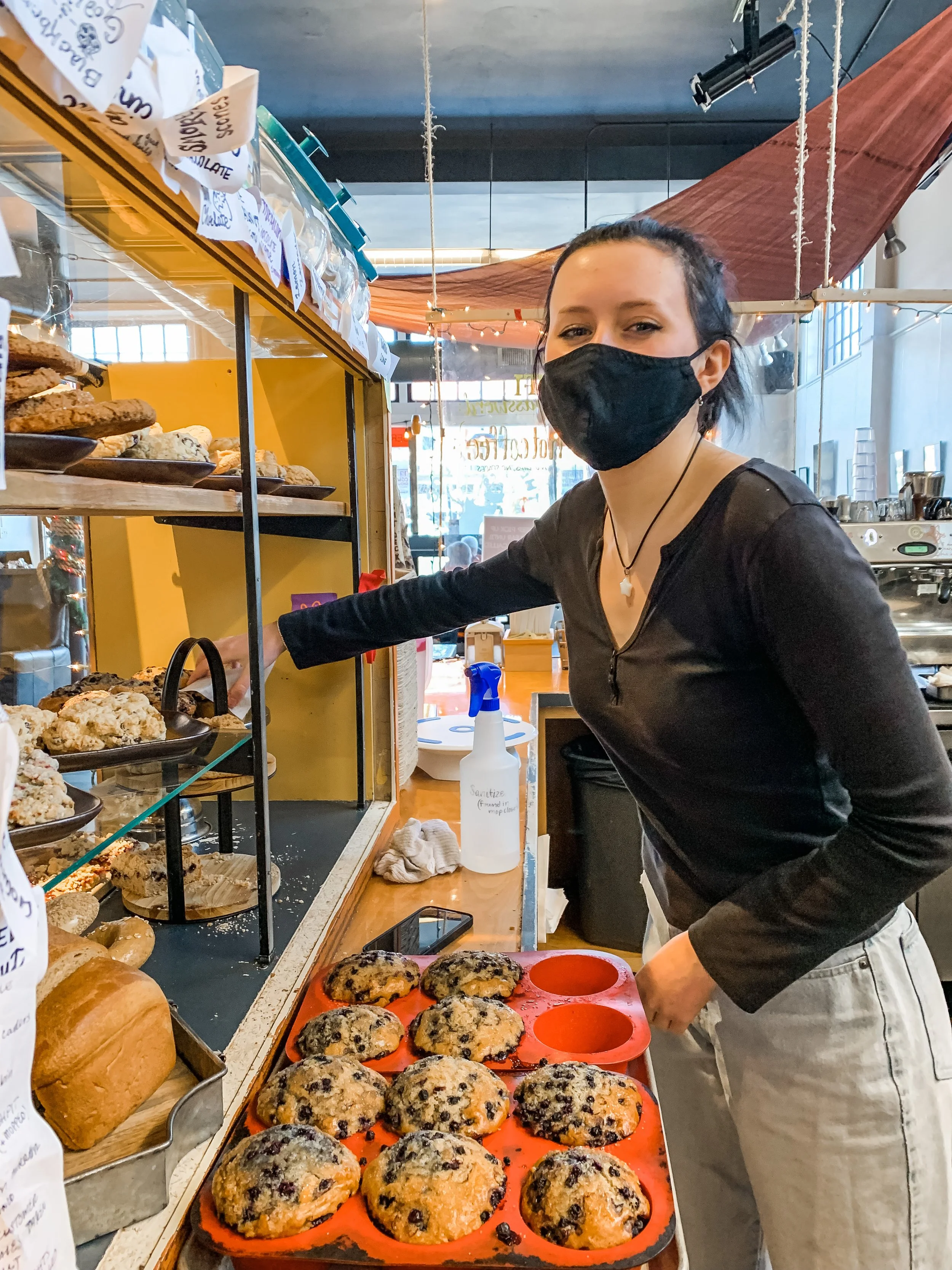 Little Dog Coffee Shop Sit, Stay, Enjoy!