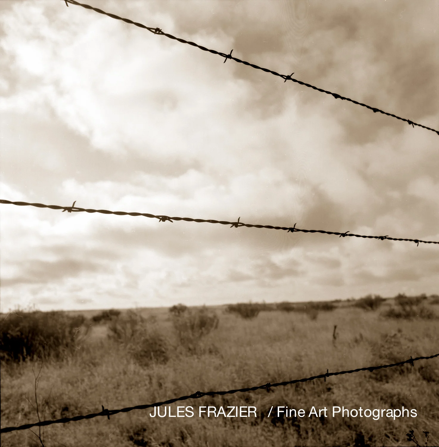 Faded Icons of The West_-5.jpg