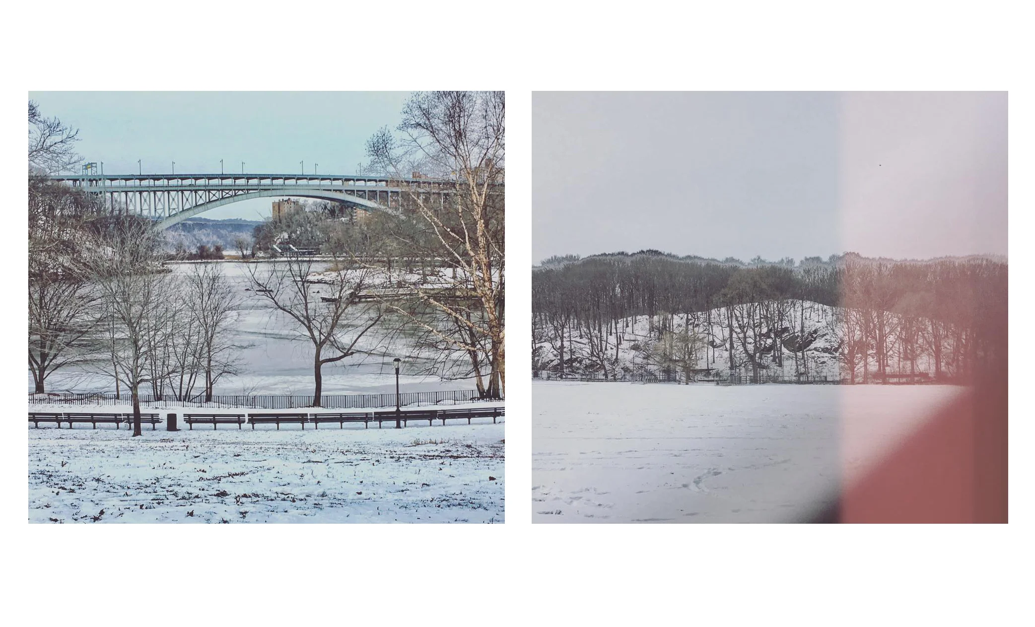 winter-forest-2.jpeg