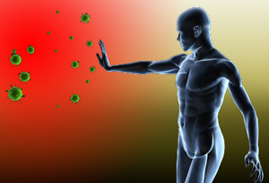 immune system.png