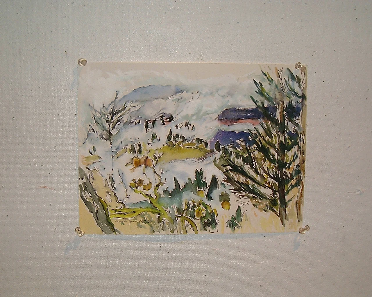 001.JPG