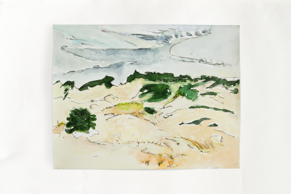 Provincetown Dunes 2012 ink and watercolor 15" x 20"