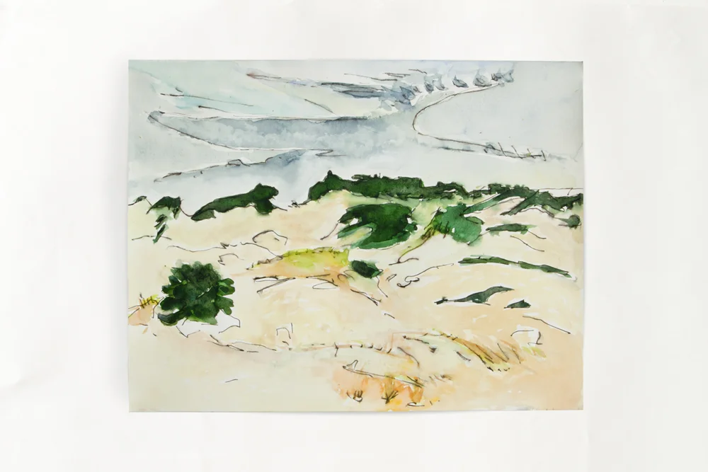 Provincetown Dunes 2012 ink and watercolor 15" x 20"