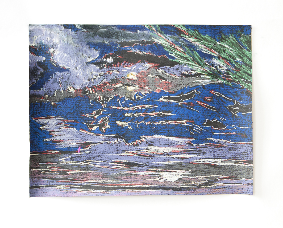 2011 pastel on paper 12.5" x 16"