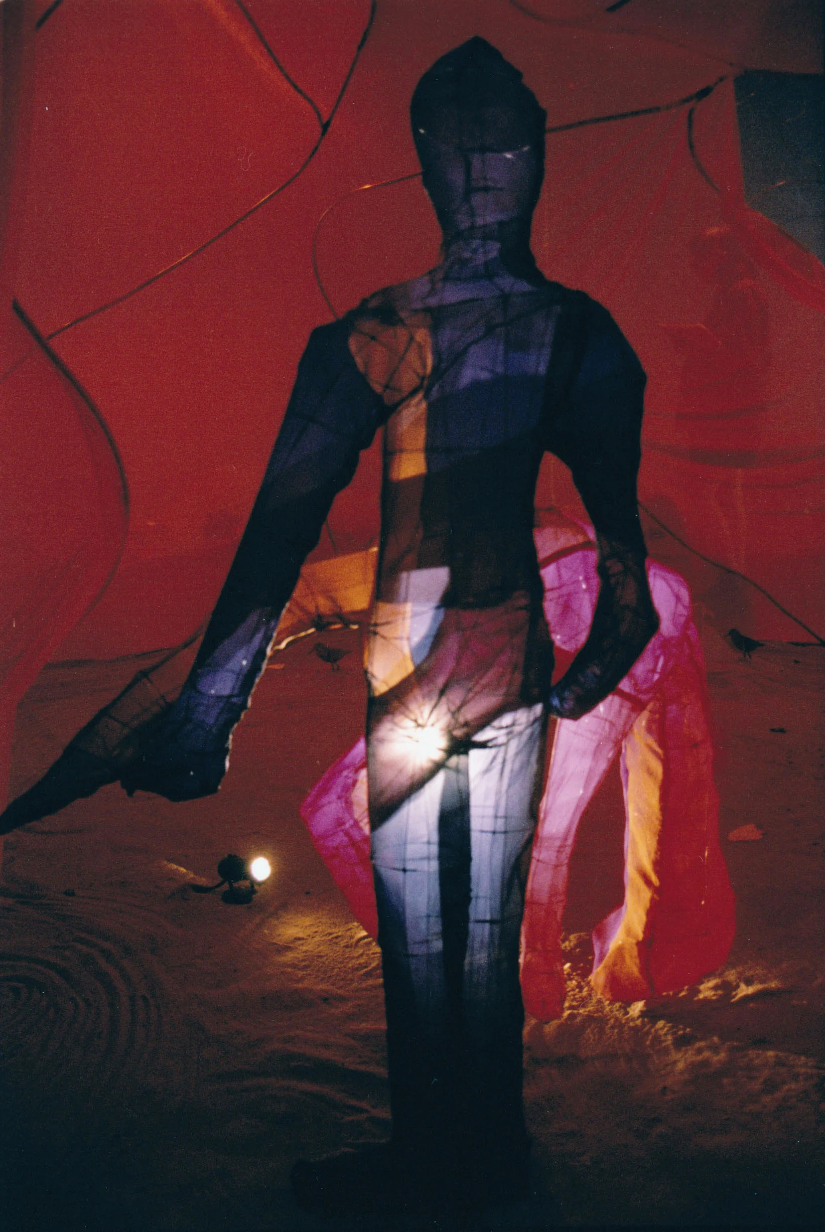 Installation Songs of the Senses (back view).jpg