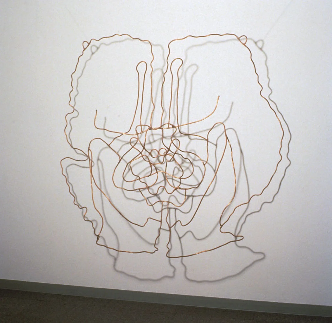 Mimi.Gross.anatomy.022.jpg