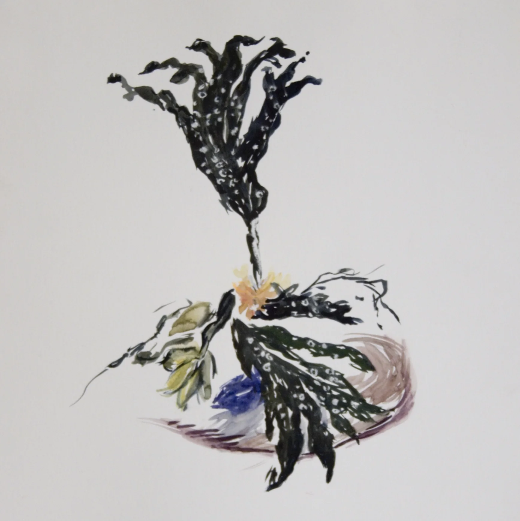 Mimi.Gross.seascape.021.jpg