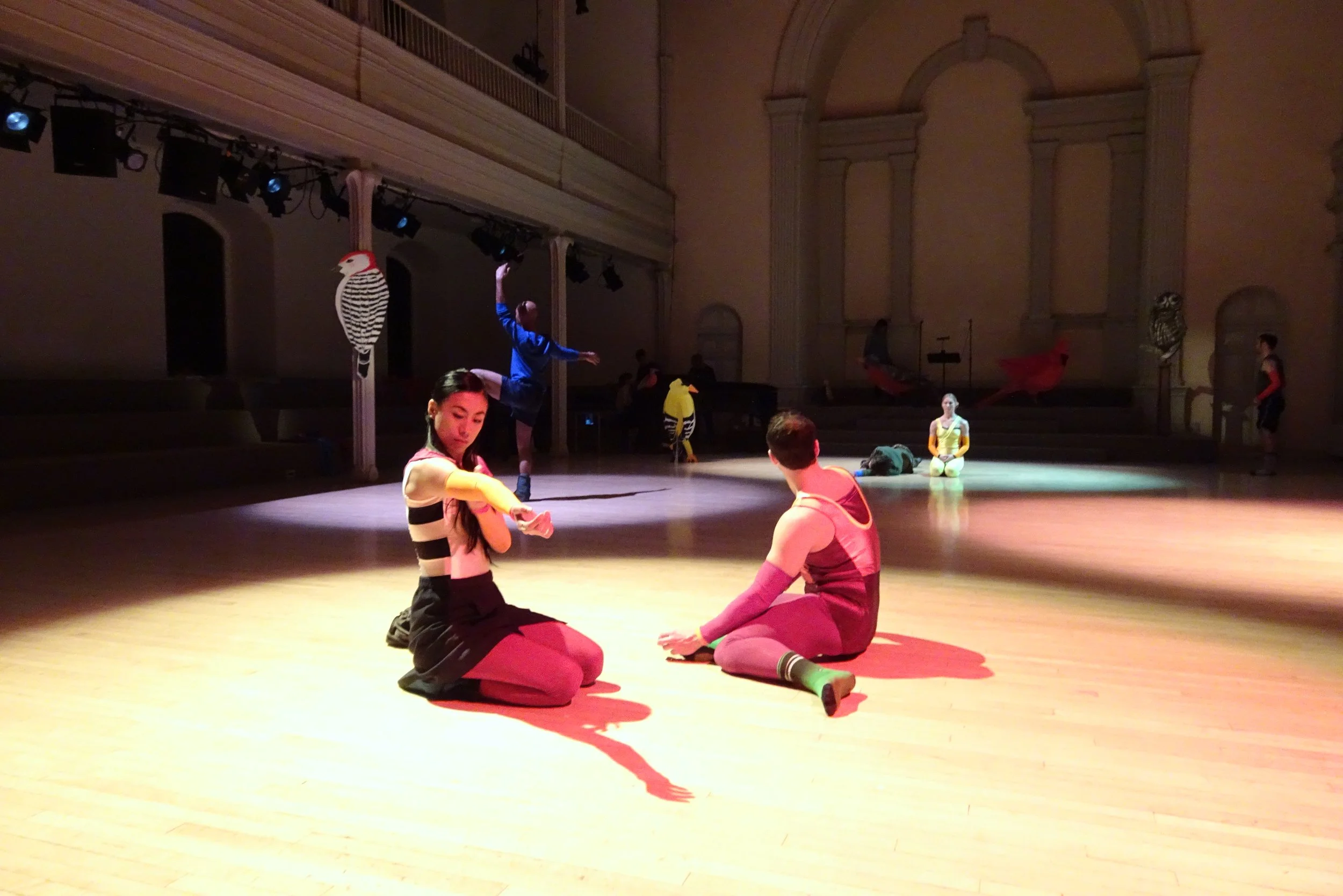 MG_Antipodes_Rehearsal_2017_DSC03843.JPG