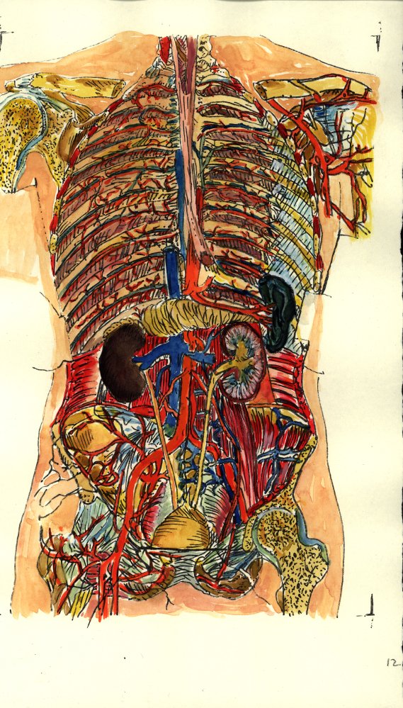 Body Watercolor 1.JPG