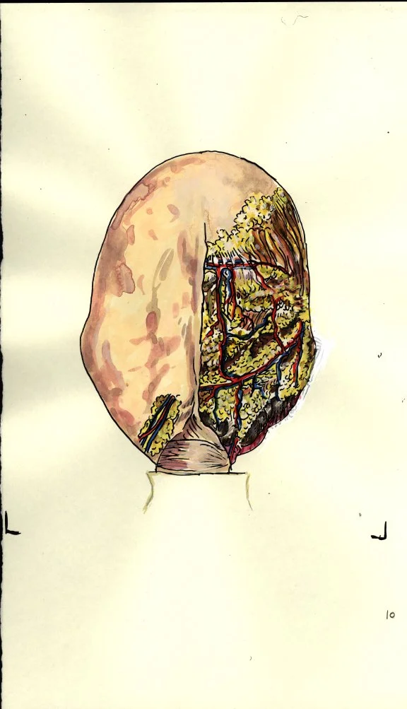 Body Watercolor 4.JPG