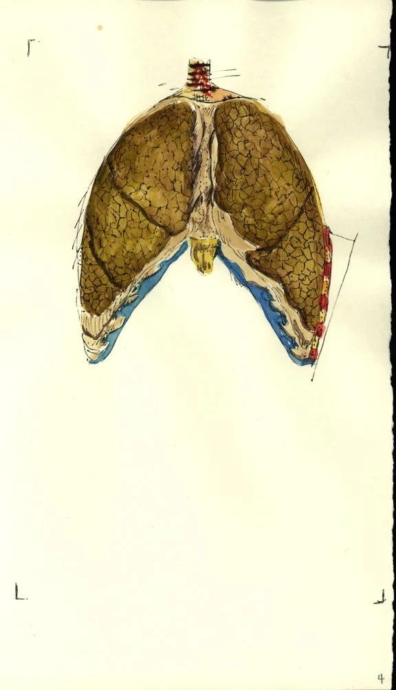 Body Watercolor 11.JPG
