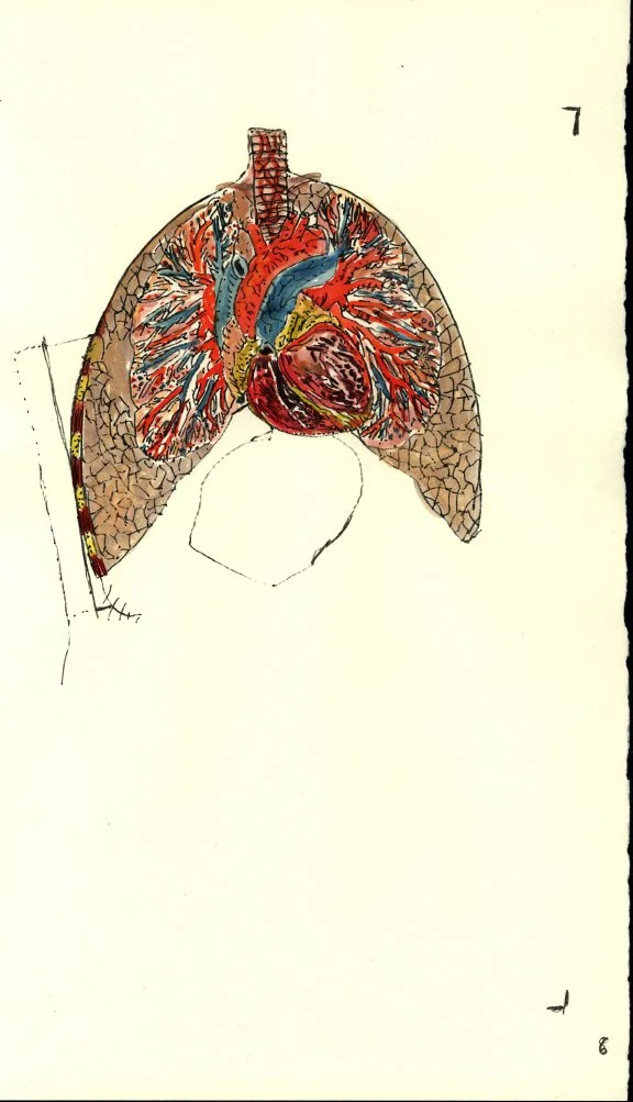 Body Watercolor 8.JPG