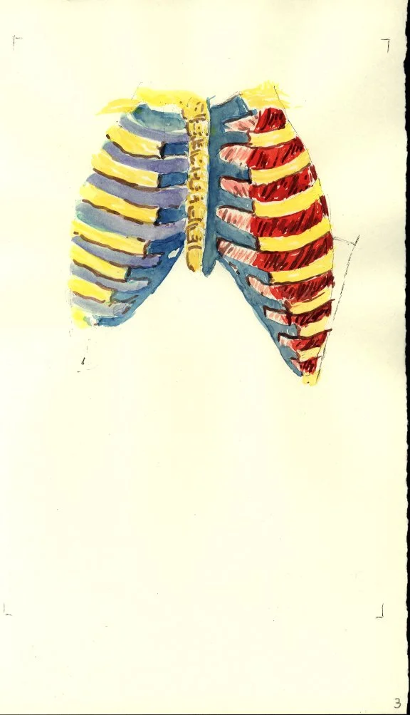 Body Watercolor 12.JPG