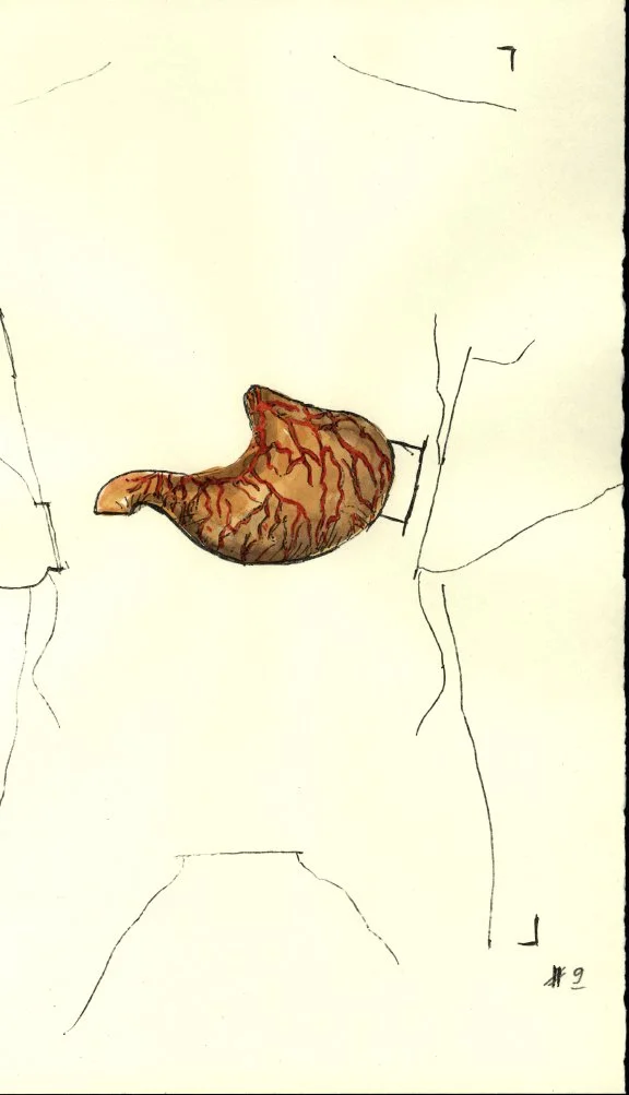 Body Watercolor 3.JPG