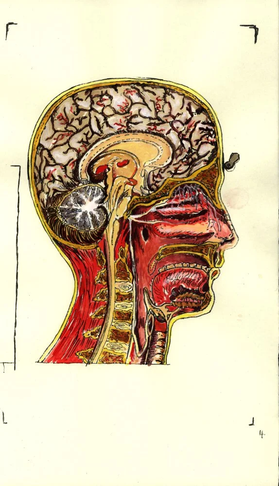 Head Watercolor 1.JPG