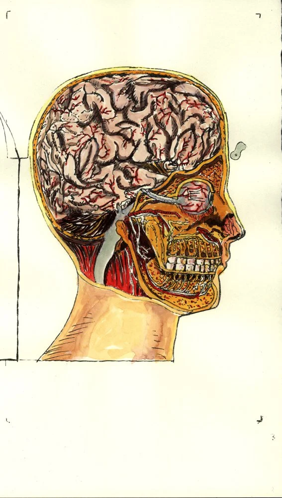 Head Watercolor 2.JPG