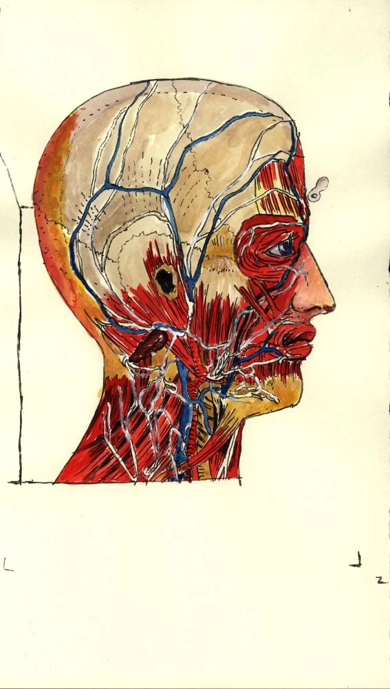 Head Watercolor 3.JPG