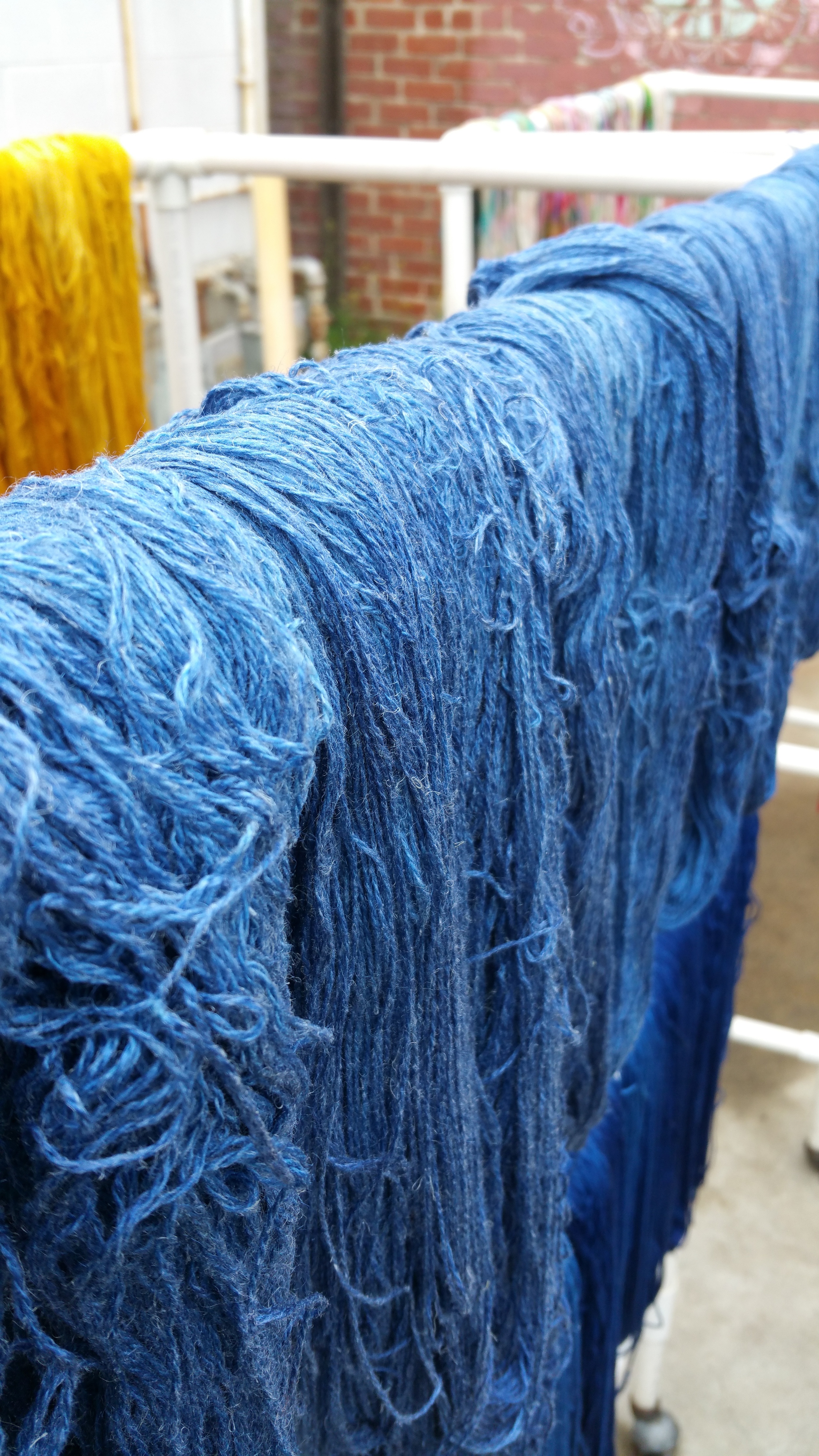 Breeze in Blueberry