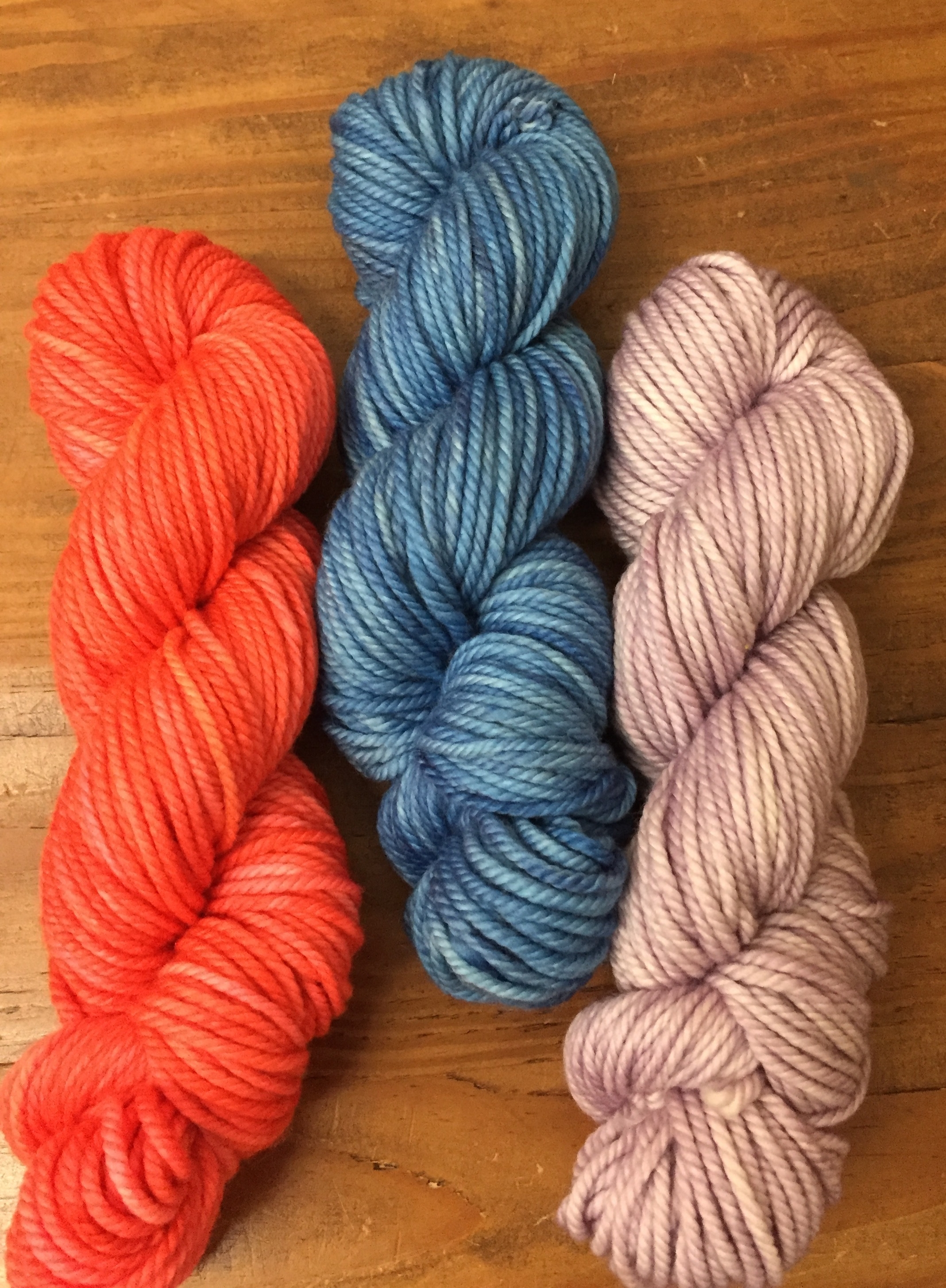 Burly in Hibiscus, Heidi and Irene