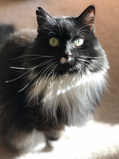 Audrey Grace, Princess of the Donnelly Estate