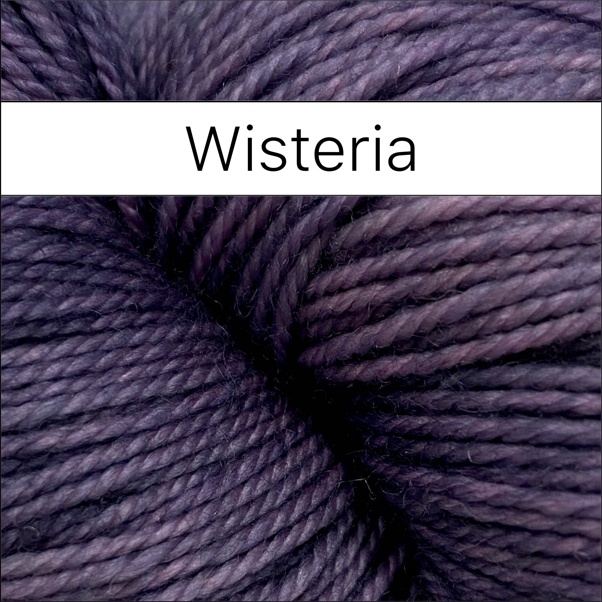 Wisteria.jpeg