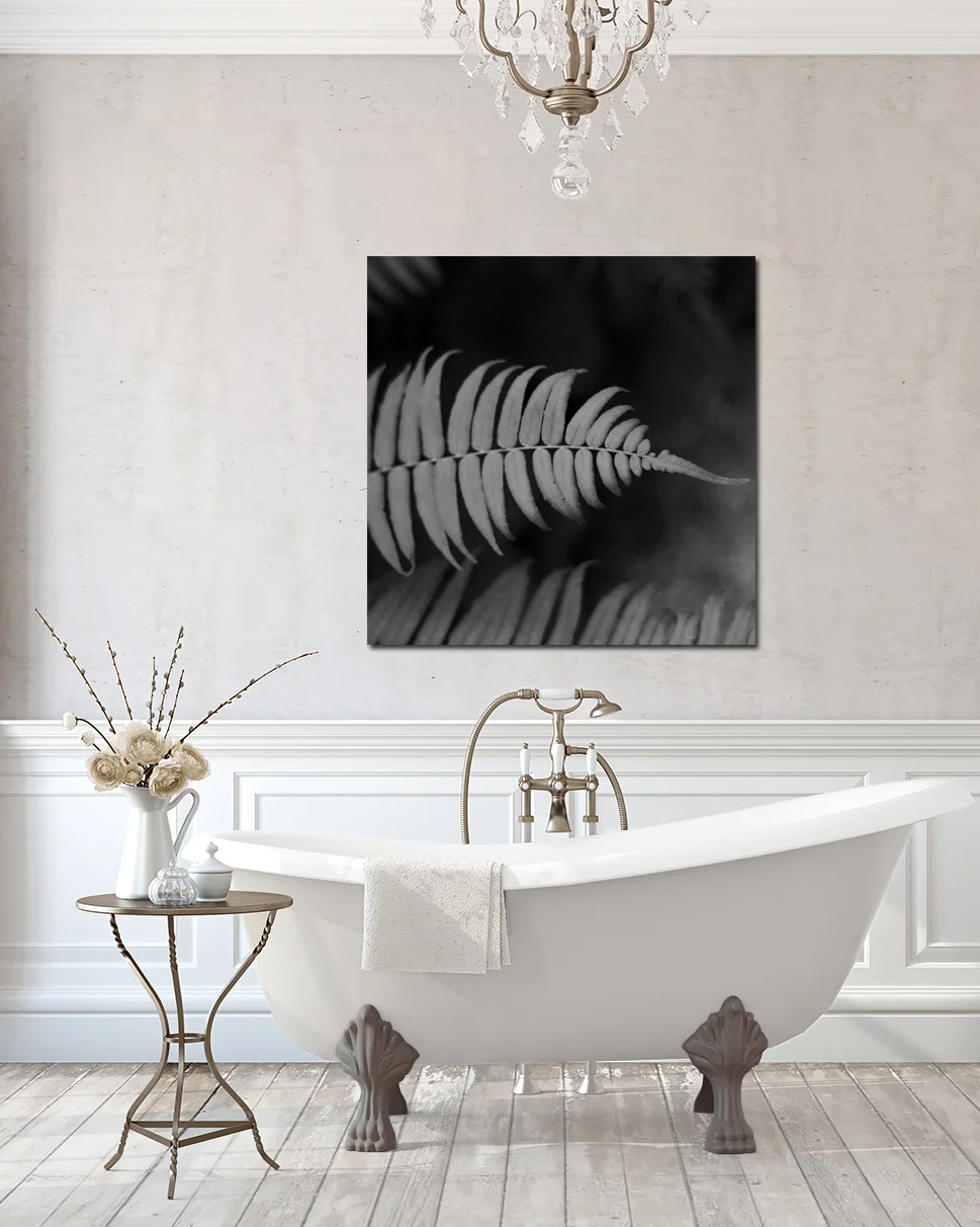 mckellar-fern.jpg