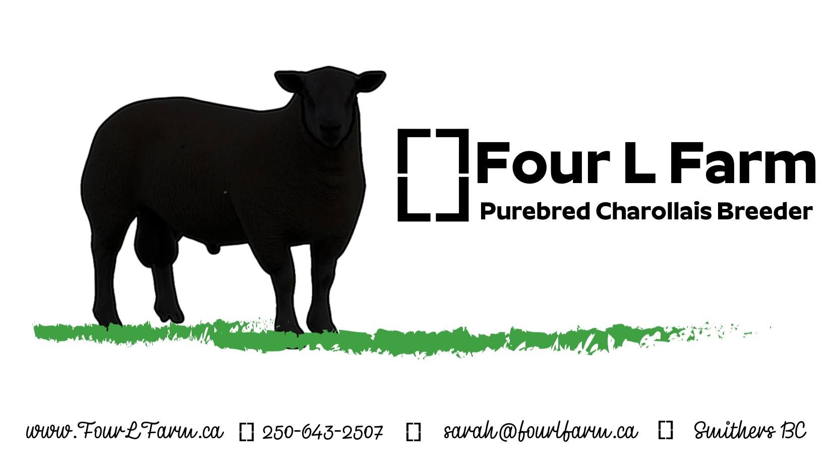 Four L Farm Purebred Charollais Sheep Breeder 